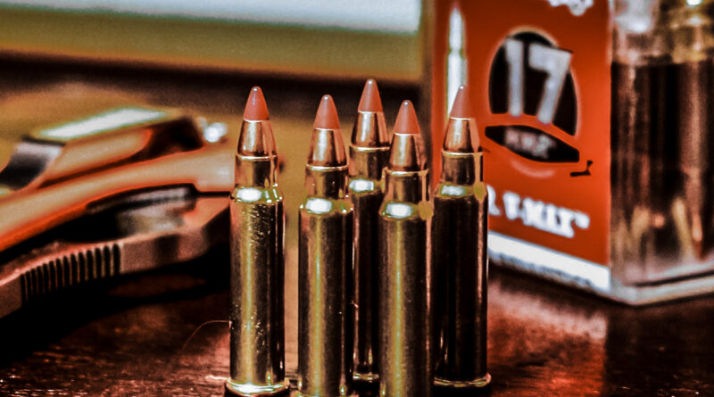The 17 Winchester Super Magnum: A Nail Gun’s Bastard Child - Guns - News